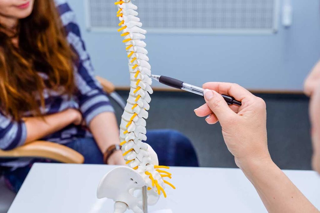 Chiropractor explaining spinal anatomy to an adult patient using a model spine in a bright examination room.